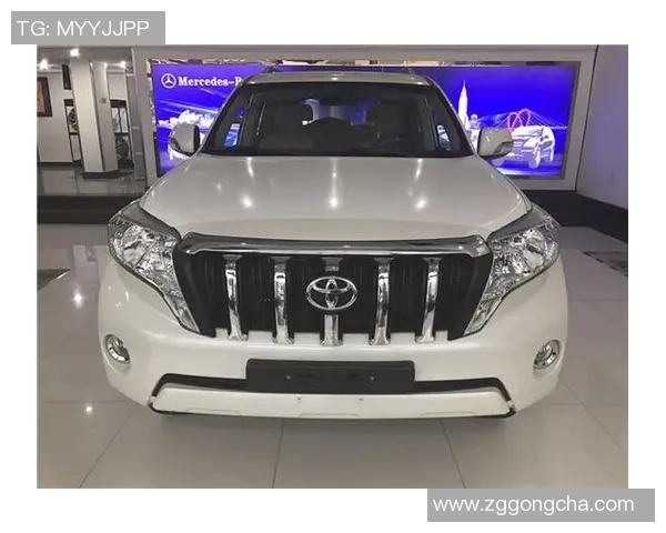 洲际杯积分榜更新广州足球队以69分稳居榜首展现强劲实力