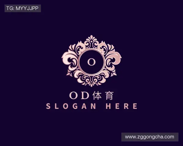 介绍OD体育官网